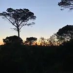 Quinta Casal Da Eva 阿尔科巴萨