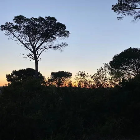 Quinta Casal Da Eva Alcobaça